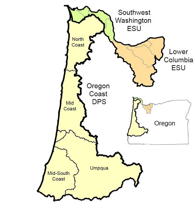 Image of western side of Oregon with steelhead monitoring regions highlighted.